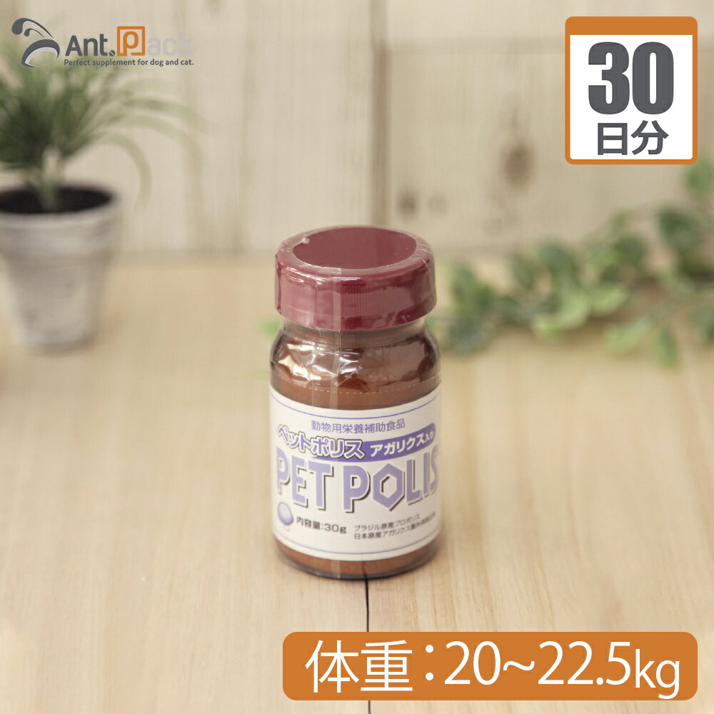 ̵ۥץ󥷥塼 ڥåȥݥꥹ ꥯ ѥǭ ν20kg22.5kg 12.25g30ʬ