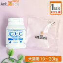 【お試し1日分】スケアクロウ パンフェノン 犬猫用 体重10kg〜20kg用 6粒 1日分(4)