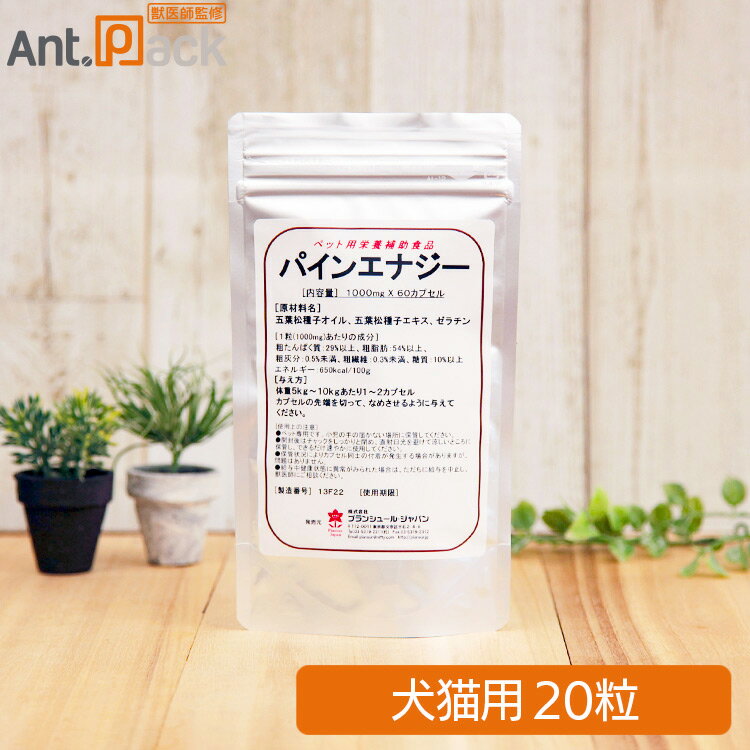 プランシュール パインエナジー （松の実サプリメント）犬猫用 20粒