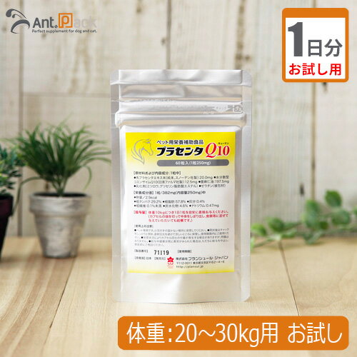 ڥåѥץ硡Ant.Pack㤨֡ڤ1ʬۥץ󥷥塼 ץ饻Q10 ǭ ν20kg30kg 3ץ 1ʬפβǤʤ185ߤˤʤޤ