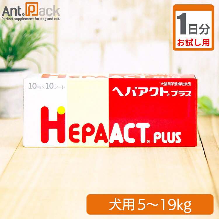 ڤ1ʬ إѥȥץ饹  ν5kg19kg 3γ