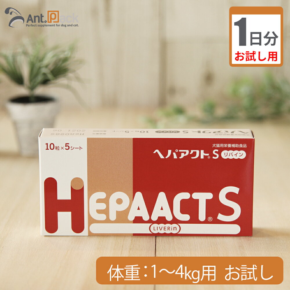 ڤ1ʬ إѥS Х ν1kg4 1γ