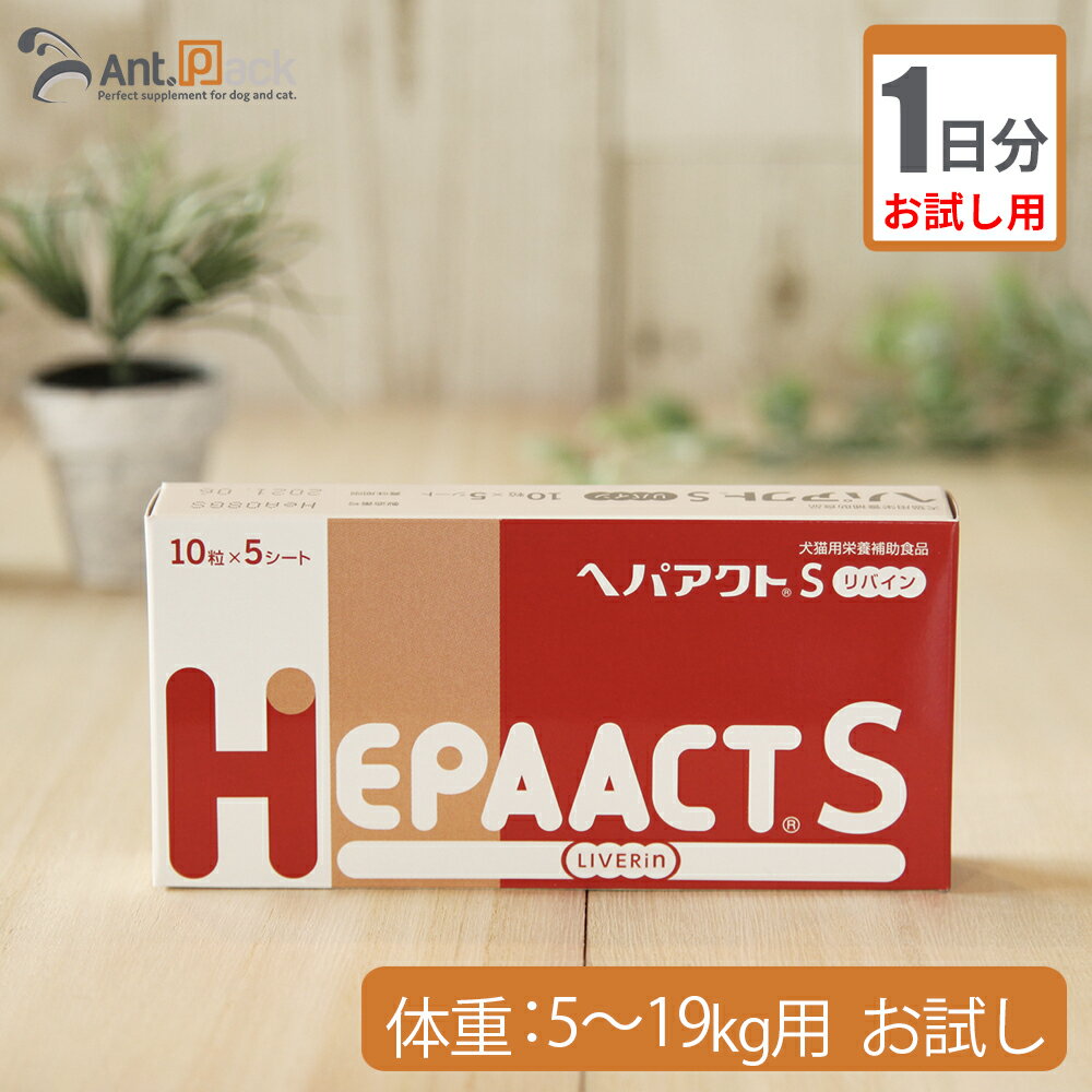 ڤ1ʬ إѥS Х  ν5kg19 2γ