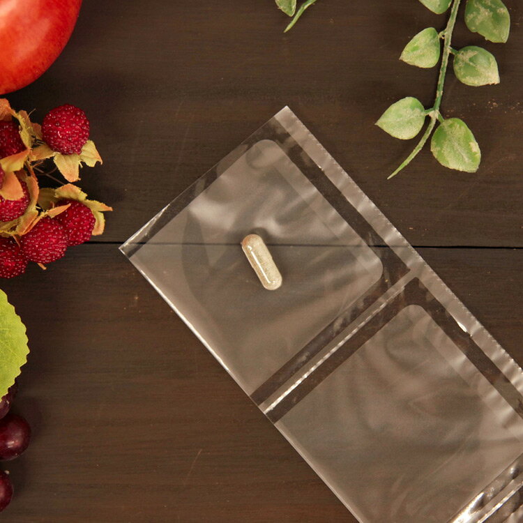 【お試し1日分】共立製薬 プロアントゾン20mg （中型犬用） 体重9kg〜22kg用 1カプセル