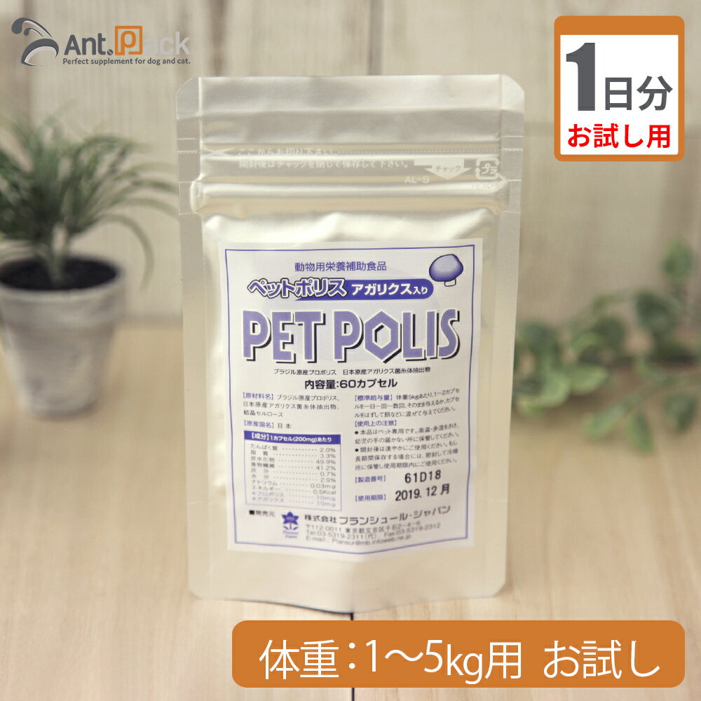 ڤ1ʬۥץ󥷥塼 ڥåȥݥꥹ ꥯ ץ ǭ ν1kg5kg 1ץ 1ʬ