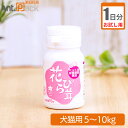 【お試し1日分】プランシュール 花びら茸 犬猫用 体重5kg〜10kg 1日1g