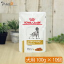 ロイヤルカナン ユリナリー S/O パウチ 犬用 100g×10個※同梱不可商品※(10082)