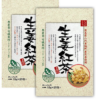 【お試し価格】生姜紅茶（1.5g×20包入／2袋）【生姜　熊