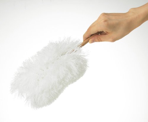 【15％offクーポン配布】tidy ティディ コップ ハンディモップ ブルーグリーン は...