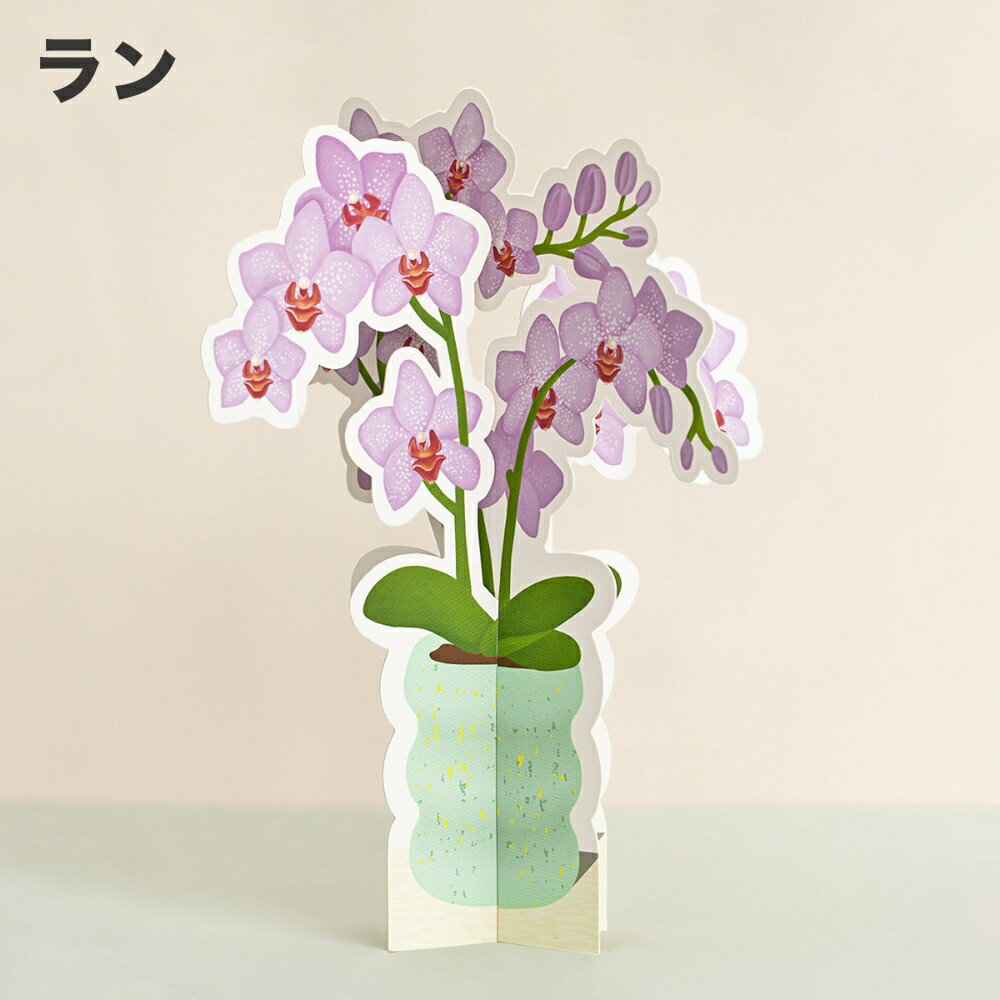 【全品10倍&クーポン】メール便可 セルツァー ペーパープラント ラージ ラン カシワバゴム 観葉植物 SELTZER Orchid Fiddle Leaf Fig Paper Plant フェイク Lサイズ 鉢造 花 紙製 スタイリッシュ ミニ オブジェ 置物 卓上 ユニーク おしゃれ かわいい 北欧 ギフト