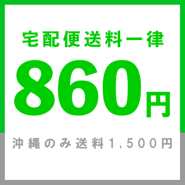 【50円クーポン対象】アルネヤコブセン ARNE JACOBSEN レザートラップ 40mm ブラック/シルバー 2001 おしゃれ かわいい Leather Strap 革 本革 ベルト 交換ベルト 時計 メンズ レディース ユニセックス 北欧 デザイン デザイナーズウォッチ 誕生日 結婚祝い 出産祝い 引越し