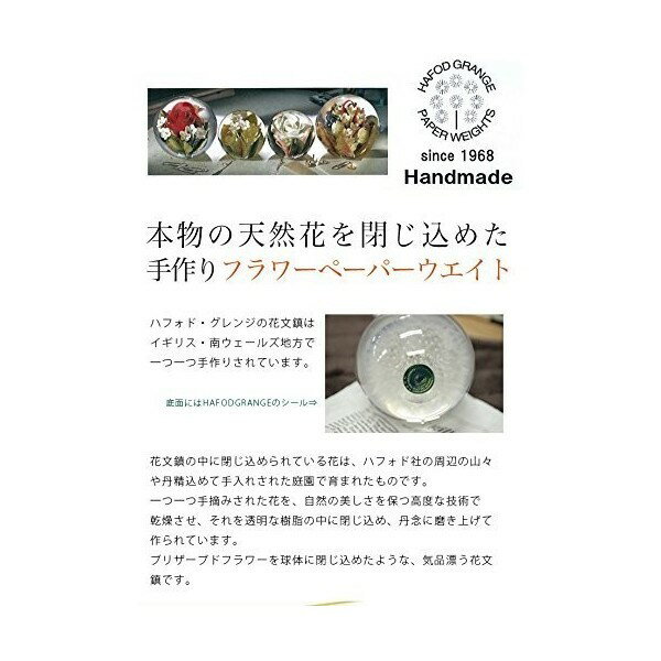 HafodGrange ハフォドグレンジ 花文鎮フラワーペーパーウエイト Sサイズ 忘れな草 HG18S 置物