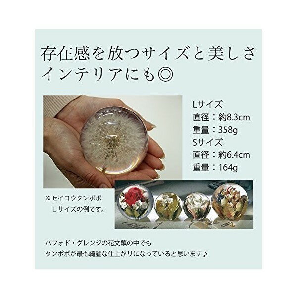 HafodGrange ハフォドグレンジ 花文鎮フラワーペーパーウエイト Sサイズ 忘れな草 HG18S 置物 [2]