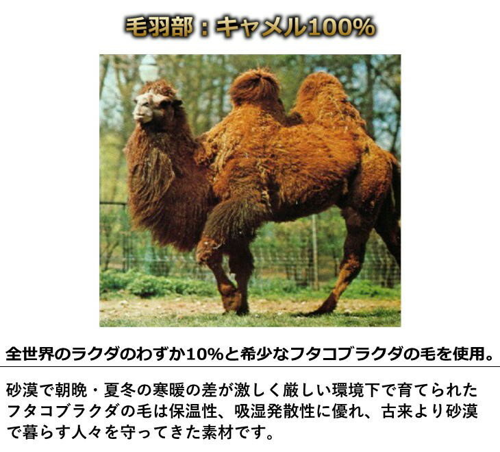 キャメル100％ 泉州産毛布屋さんが作った キャメル肩当て 日本製 保温性に優れた天然素材 男女兼用 ※メーカー直送代引き不可