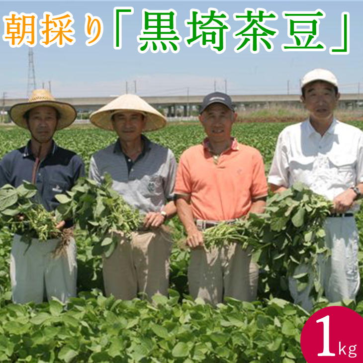令和7年 新潟 黒埼産 朝採り 黒埼茶豆 1kg 枝豆 えだまめ 2025年 7月中旬~8月上旬出荷予定 クール便 国産 セイヒョー