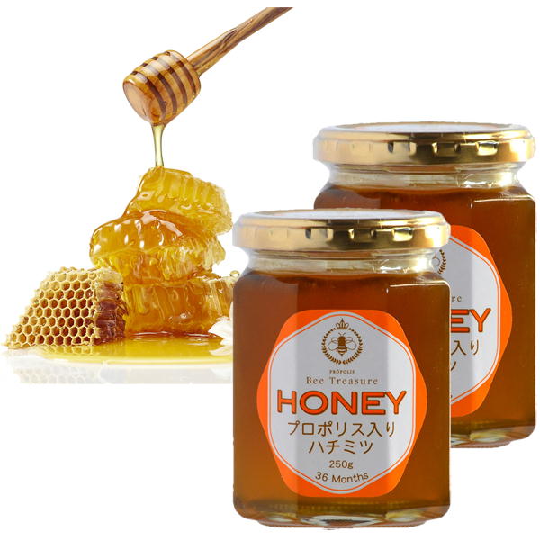 Bee Treasure ץݥꥹϥߥ HONEY 2ĥåȽ襢를󻺤Ϥߤ ѥ󥱡  ˪