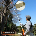 YARD FORCE コードレス 24V 高枝電動のこぎりライト LSC21P-JP ヤードフォース バッテリー充電式 軽量 高枝切バサミ