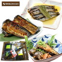 青柳食品 やわらか煮魚 詰合せ Bセット 9種 詰合せセット 骨まで食べられる 柔らかに込み 常温保存可 パック 千葉 銚子※代引き不可