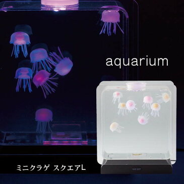 お得なクーポンあり！アクアリウム AQUARIUM ミニクラゲ スクエアL 18159 イシグロ インテリア 人工 癒し シリコン ジェリーフィッシュ 水槽