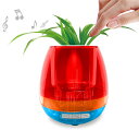 キヨラカ スマートフラワーポット HO-F01 葉が奏でる・音と緑の癒し 観葉植物 ミニ植木鉢