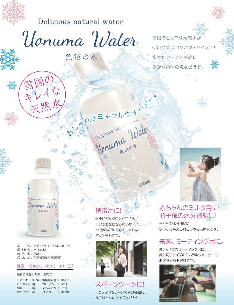 魚沼の水 ミネラルウォーター 290ml×40本（1ケース） 雪国のキレイな天然水 ミニボトル コンパクト ペットボトル 携帯 ※代金引換決済不可 ipn antel-store-10009632 Antel サンプル画像2