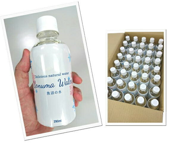 魚沼の水 ミネラルウォーター 290ml×40本（1ケース） 雪国のキレイな天然水 ミニボトル コンパクト ペットボトル 携帯 ※代金引換決済不可 ipn antel-store-10009632 Antel サンプル画像3