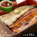 浜松・浜名湖 うなぎ贅沢セット 6人前 蒲焼&白焼 うなぎ茶漬け U910222 (お吸い物付き) 静岡 ギフト ※代引き不可