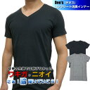 DEO's デオス コンプリート消臭インナー メンズ 男性用 ワキガ ニオイ対策インナー Tシャツ Vネック 綿 体臭 汗臭 蘭華