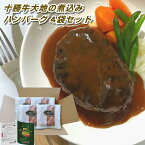 サカモト食品 十勝っ子プレミアム 十勝牛大地の煮込みハンバーグ 230g×4個セット 付け合わせ付き デミグラスソース レンジ調理 クール便発送 代引き不可