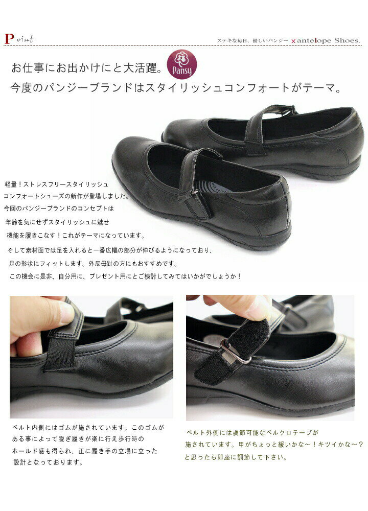 pansy �ѥ󥸡� �ե�åȥ��塼�� �� ��ǥ����� ���ȥ�å� ���ե��� ���塼�� ���� ���ե� �ڤ���