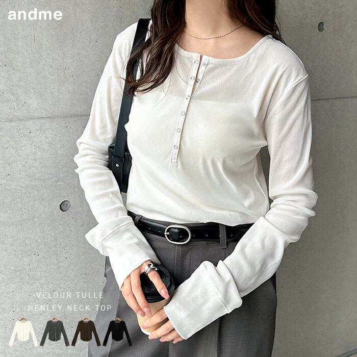 ベロア チュール ヘンリーネック トップス レディース 長袖Tシャツ ロンT カットソー シャツブラウス インナー 体型カバー ゆったり 楽ちん 長袖 シアー セレモニー きれいめ オフィス カジュアル トレンド 秋服 冬服 春夏 秋冬 春 秋 冬のサムネイル