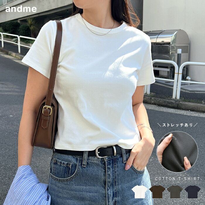 ショート丈 コットンフライス 半袖 Tシャツ レディース 半袖Tシャツ ミニTシャツ コットンTシャツ カットソー インナー ショートトップス トップス 体型カバー 楽ちん ストレッチ 短丈 無地 きれいめ オフィス カジュアル トレンド M L 夏服 春夏 春 夏 秋
