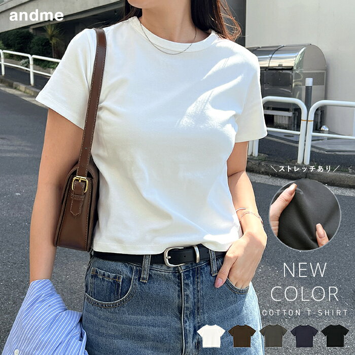 ショート丈 コットンフライス 半袖 Tシャツ レディース 半袖Tシャツ ミニTシャツ コットンTシャツ カットソー インナー ショートトップス トップス 体型カバー 楽ちん ストレッチ 短丈 無地 きれいめ オフィス カジュアル トレンド M L 夏服 春夏 春 夏 秋