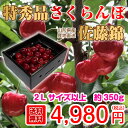 【送料無料】 さくらんぼ 佐藤錦 特秀品 350g 2Lサイズ 【2017年さくらんぼ品評会 山形県1位】 贈答品 御中元 ギフト 家庭用