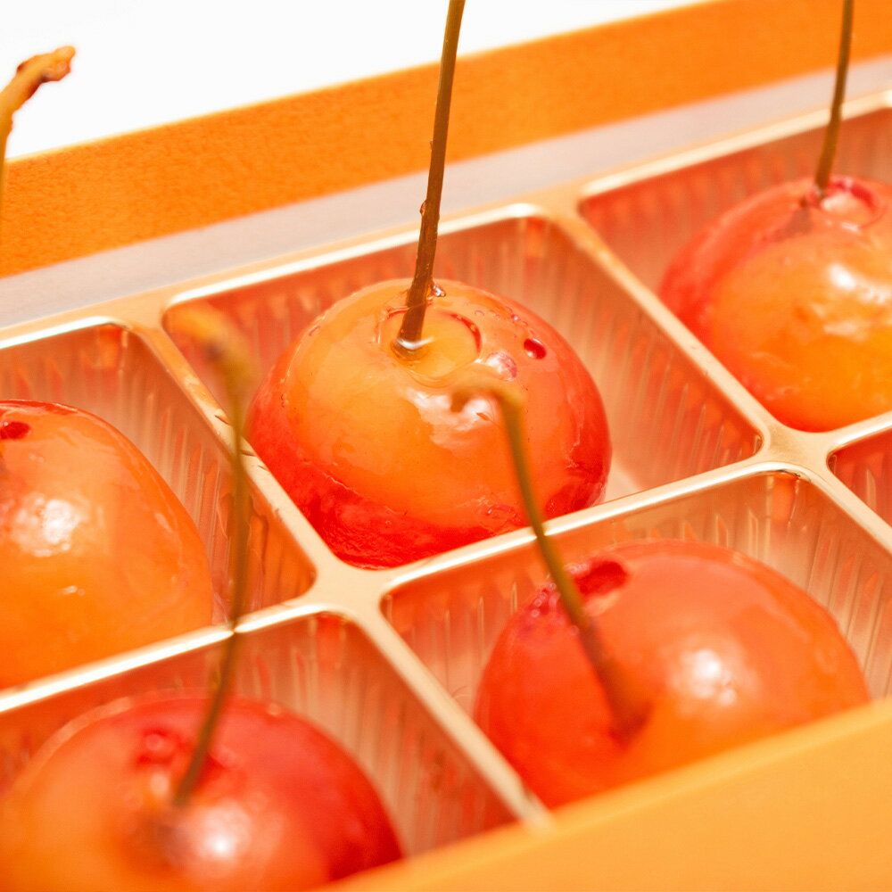 �������� �������� ���꡼�ڥץ�����������꡼ 8γ�ۤ������� �����꡼ ̪�� ��̵�� ������ �ե롼�� �������� ���ۻ� ������ ����� �βۻ� ����� ���� �ե롼�ĥ��꡼ ���� �������ܥ��꡼ �Х�󥿥��� �ۥ磻�ȥǡ� £��ʪ ���ե� �ץ쥼���