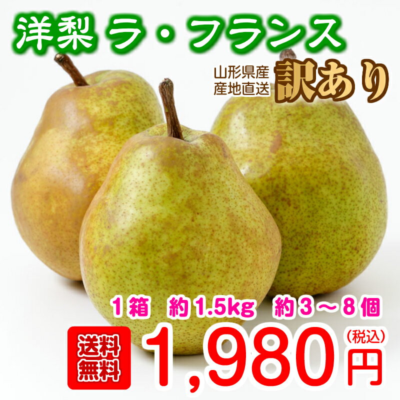 【 送料無料 】山形産 ラ・フランス 訳あり 洋梨 約 1.5kg 3個〜8個 洋梨 洋なし 果物 フルーツ 家庭用 自宅用