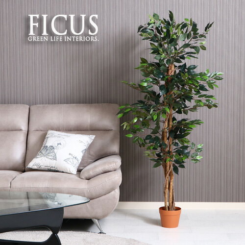 ゴムの木 【送料込】 観葉植物 フェイク FICUS フィカス ゴムの木 150cm 大型 造花 インテリア 植物 フェイクグリーン 人工観葉植物 作り物 リアル 大きめ 大きい 本物そっくり おすすめ おしゃれ かわいい プレゼント 送料無料