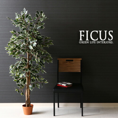 楽天家具通販 Antico（アンティコ）【送料込】 観葉植物 フェイク FICUS フィカス ゴムの木 160cm 大型 造花 インテリア 植物 フェイクグリーン 人工観葉植物 作り物 リアル 大きめ 大きい 本物そっくり おすすめ おしゃれ かわいい プレゼント 送料無料