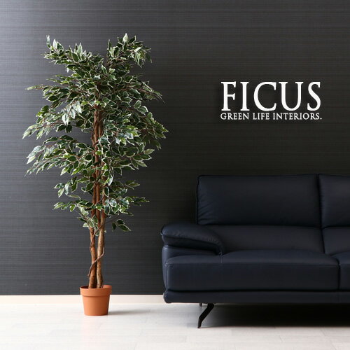 【送料込】 観葉植物 フェイク FICUS フィカス ゴムの木 B 170cm 大型 造花 インテリア 植物 フェイクグリーン 人工観葉植物 作り物 リアル 大きめ 大きい 本物そっくり おすすめ おしゃれ かわいい プレゼント 送料無料