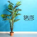 【送料込】 観葉植物 フェイク SPLITE スプリット 140cm 大型 造花 インテリア 植物 フェイクグリーン 人工観葉植物 作り物 リアル 大きめ 大きい 本物そっくり おすすめ おしゃれ かわいい プレゼント 送料無料