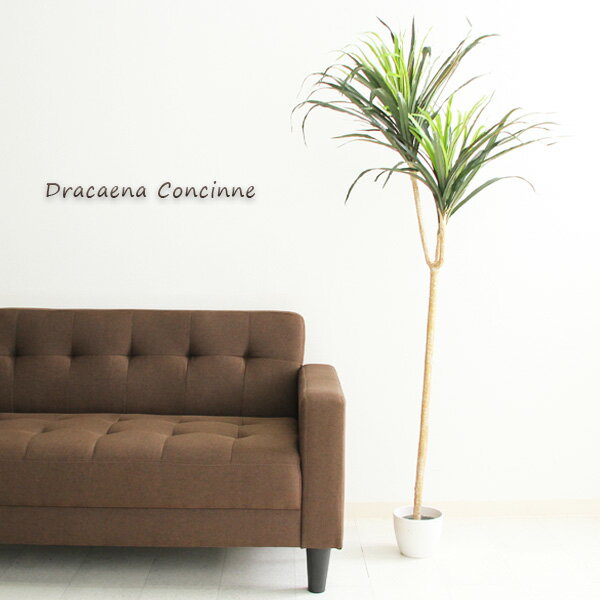  フェイクグリーン 人工観葉植物 H148 DRACAENA ドラセナ コンシンネ インテリア 大型 造花 観葉植物 インテリアグリーン グリーン ギフト アジアンテイスト 目隠し 仕切り 開店祝い 新築祝い プレゼント 幅80 ポット おしゃれ 送料無料