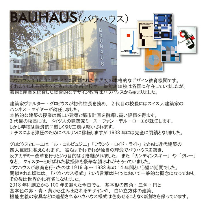 【送料込】 アートパネル Bauhaus バウハウス Architektur 1919-1933 玄関 アートポスター おしゃれ デザイン スタイリッシュ ドイツ バウハウス様式 芸術 建築家 絵画 インテリア 壁掛け 寝室 リビング ギフト 新築祝い 新生活 送料無料 ssx