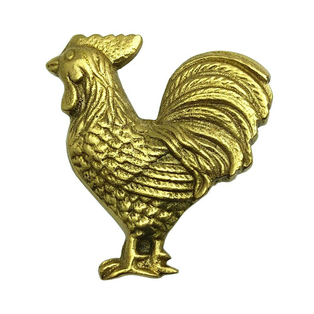 とって 取っ手 取手 つまみ 真鍮 ゴールド 磨き仕上げ 家具 棚 引出し 引き出し 扉 ドア フック パーツ 建具 建材 リメイク DIY 修理 交換 取り換え 屋内 取付ねじ付属 豪華 可愛い かわいい ネコポス発送