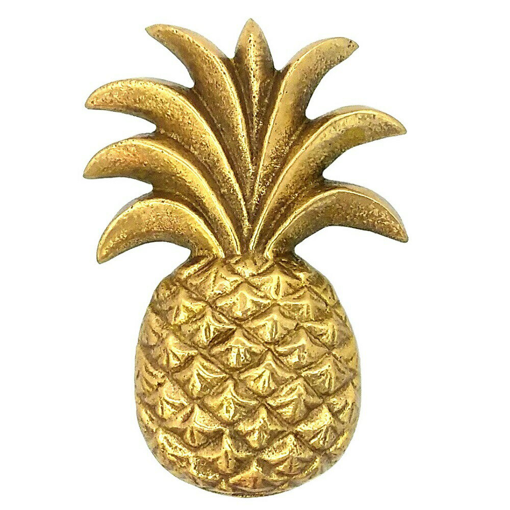 とって 取っ手 取手 つまみ 真鍮 ゴールド 磨き仕上げ 家具 棚 引出し 引き出し 扉 ドア フック パーツ 建具 建材 リメイク DIY 修理 交換 取り換え 屋内 取付ねじ付属 豪華 可愛い かわいい ネコポス発送