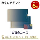 【5/10限定！抽選で2人に1人最大100%ポイントバック★要エントリー】【カードタイプ カタログギフト あす楽 送料無料】沙羅(さら) e-order choice(カードカタログ) ＜白百合-C(しらゆり)＞のし ラッピング メッセージカード無料