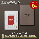 dancyu グルメギフトカタログ e-order choice ＜CA-C＞ 送料無料 グルメ カードタイプ カタログギフト 内祝い 結婚祝い 出産祝い 引き出物 カタログ ギフト グルメ おしゃれ 結婚 香典返し お祝い お返し ダンチュウ