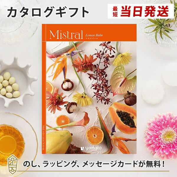 ե Mistral(ߥȥ) С ˤ  뺧ˤ 뺧ˤ лˤ лˤ ʪ ե...