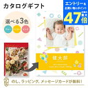 【ポイント10倍】【写真入り】カタログギフト Mistral<セントマリー> ブックカバータイプ(積み木) 内祝い グルメ 結婚祝い 結婚内祝い 出産祝い 出産内祝い 引き出物 ギフト おしゃれ 結婚 引越し祝い 新築祝い お祝い ミストラル