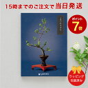 (あさぎり)万葉＜あさぎり＞【香典返し 志 満中陰志 法要 法事のお返しにおすすめなギフトカタログ 送料無料 ラッピング包装済み】｜※当日15時までの注文であす楽対応