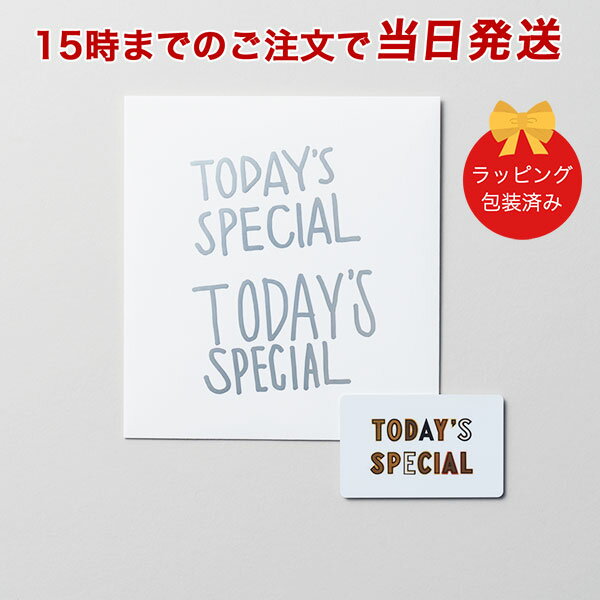 TODAY S SPECIAL トゥデイズスペシャル GIFT CATALOG SILVER シルバー 【カタログギフト 当日15時までの注文であす楽対応 送料無料】 ｜内祝い 結婚祝い 出産祝い 引き出物 カタログ ギフト 快…